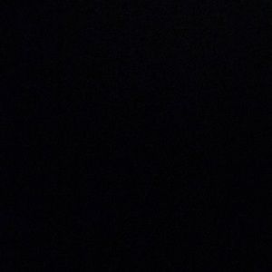 Meet your Posher, Allanna